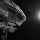 Illustration for article titled Shooting Challenge: Lens Flare Gallery Part One